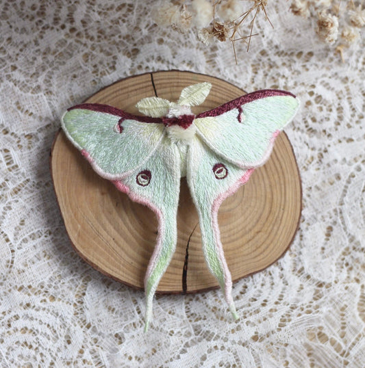 Actias luna
