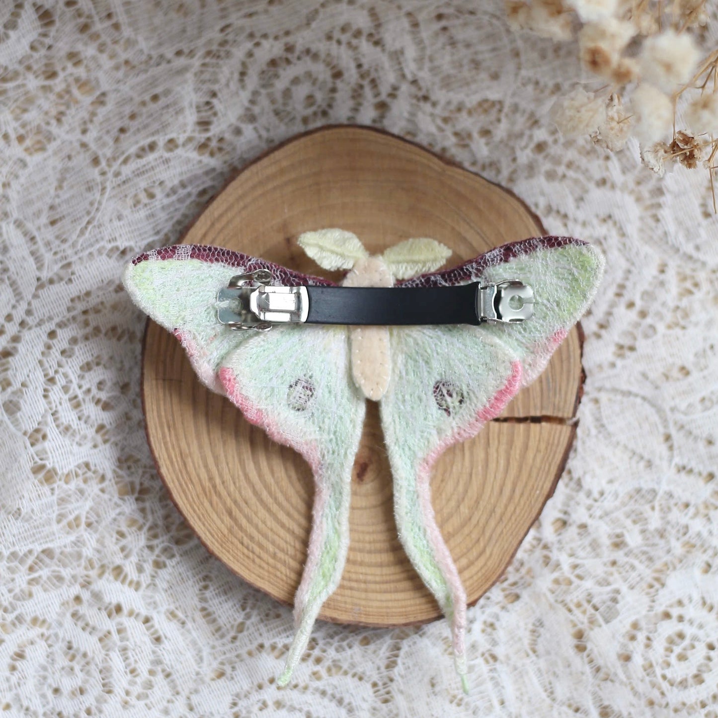 Actias luna