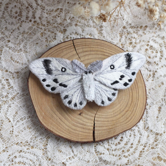 Apollo butterfly