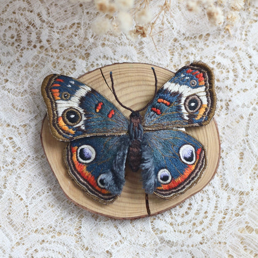 Common buckeye butterfly